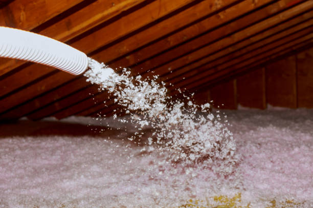 Best Insulation Maintenance and Repair in Eldorado, IL